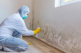 Best Residential Mold Inspection & Testing  in Spring Valley, NV