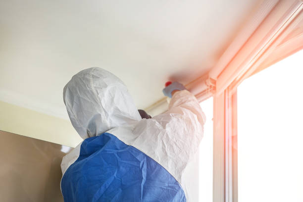 Mold Remediation for Vacation Homes in Spring Valley, NV