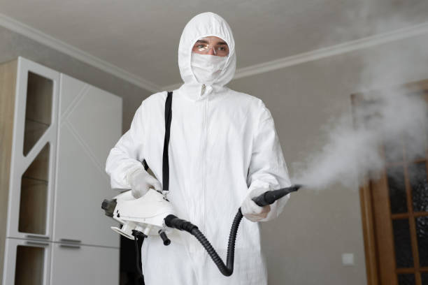 Mold Remediation for Rental Properties in Spring Valley, NV